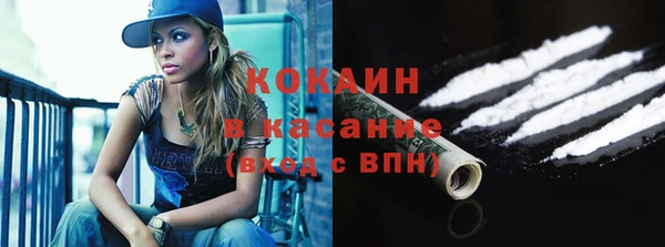 сатива Новокубанск