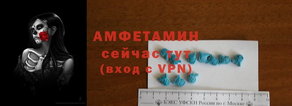 сатива Новокубанск