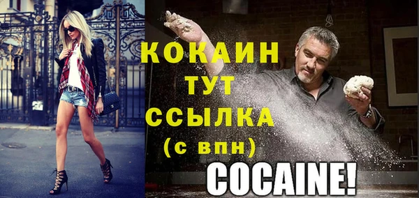 сатива Новокубанск